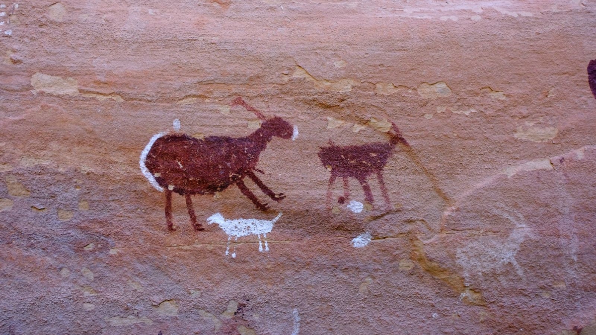 Collins Canyon – Cedar Mesa – Utah