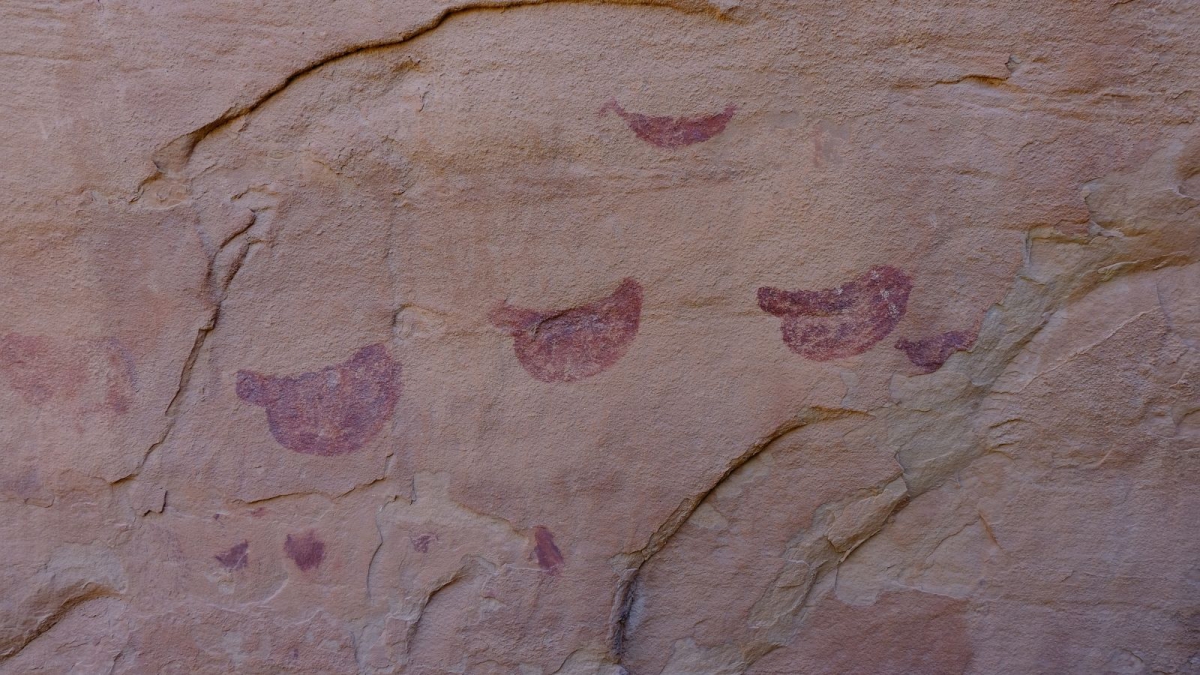 Collins Canyon – Cedar Mesa – Utah