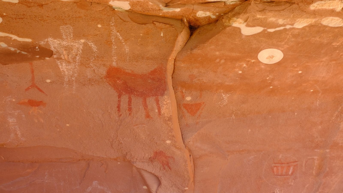 Collins Canyon – Cedar Mesa – Utah