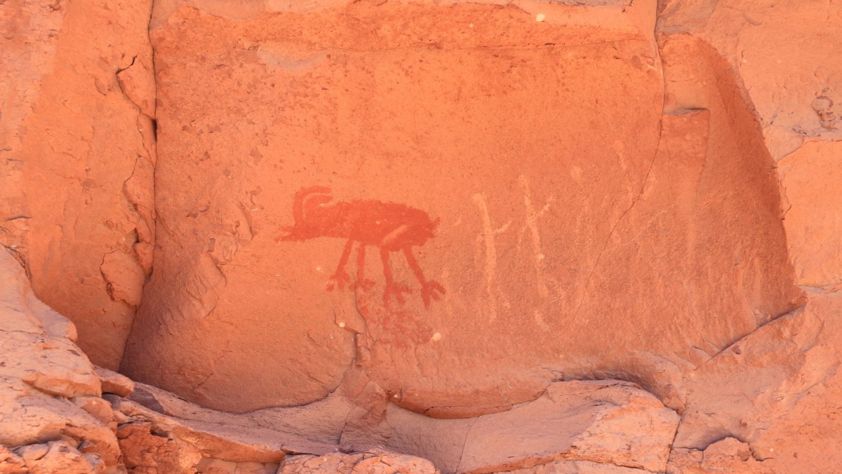 Collins Canyon – Cedar Mesa – Utah
