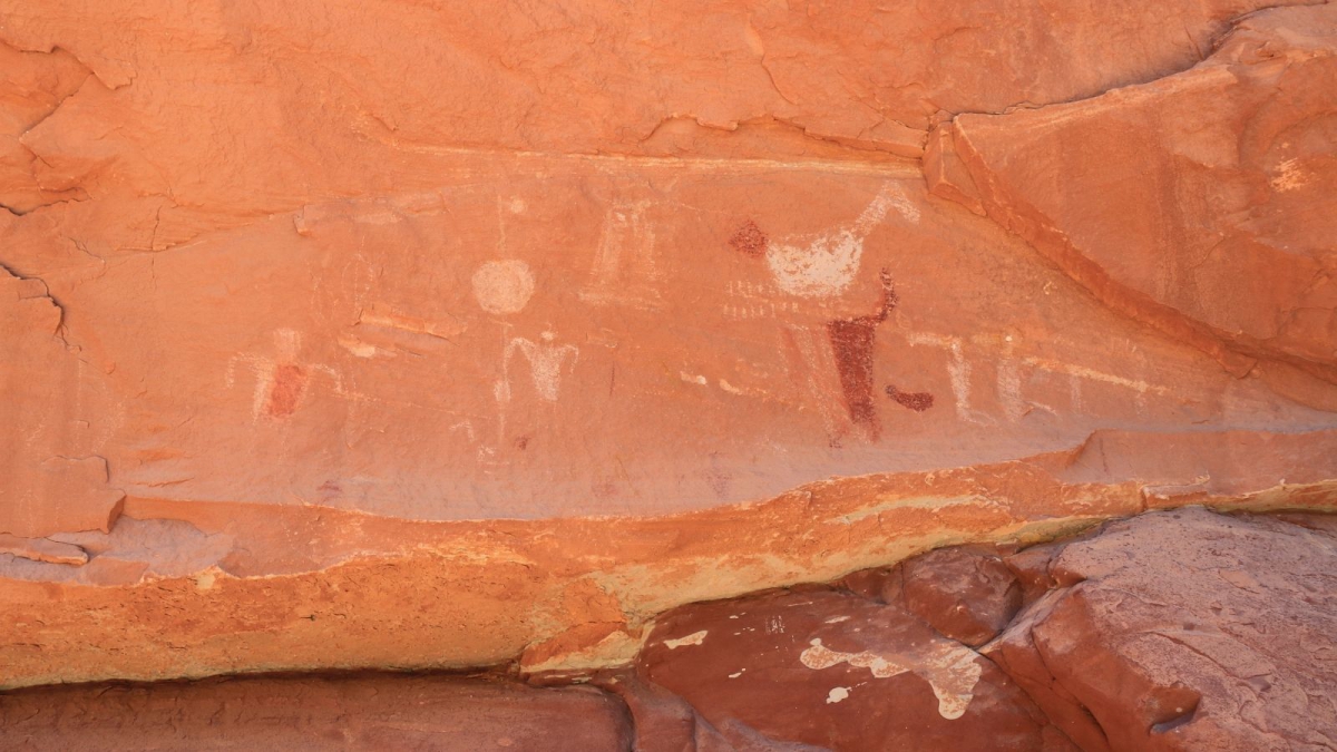 Collins Canyon – Cedar Mesa – Utah