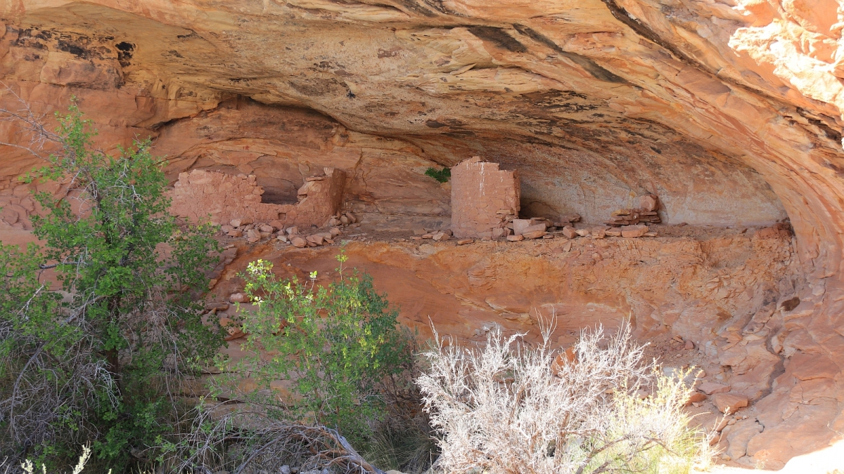 Hoobs Canyon Ruins – Cedar Mesa – Utah
