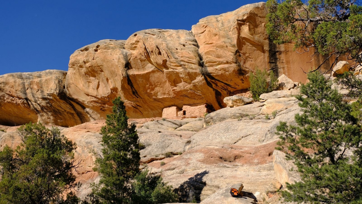 Lower Mule Canyon – Cedar Mesa – Utah