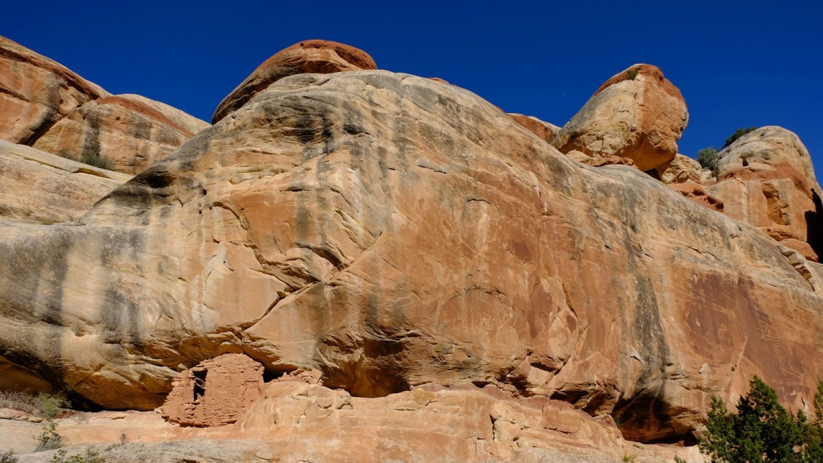 Lower Mule Canyon – Cedar Mesa – Utah