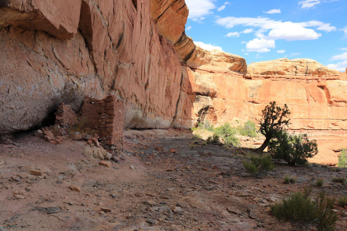 Lower Mule Canyon – Cedar Mesa – Utah