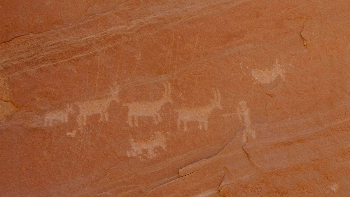 Walnut Knob – Cedar Mesa – Utah