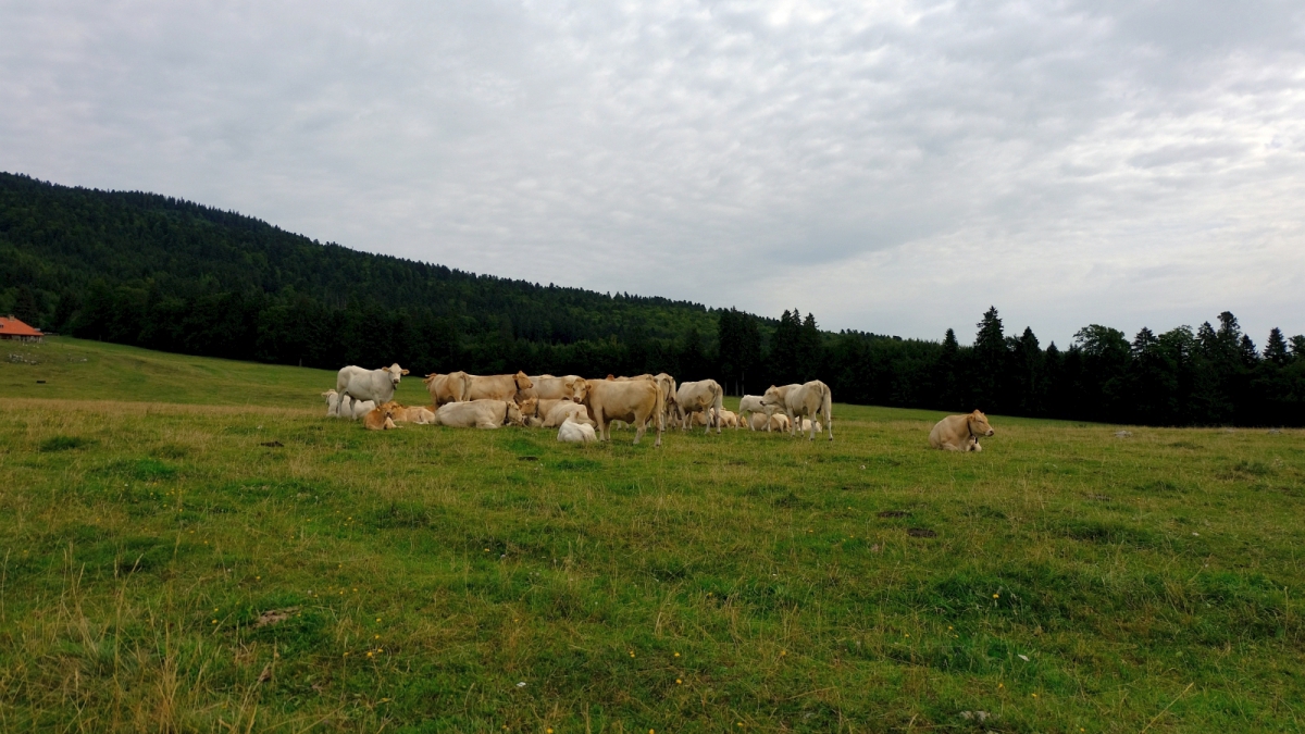 Le Bugnonet – Bassins – Vaud – Suisse