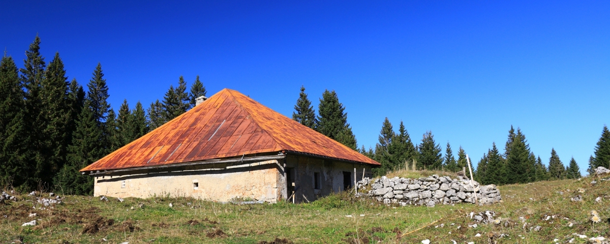 Chalet aux 4 pans - Arzier-Le Muids - Vaud - Suisse