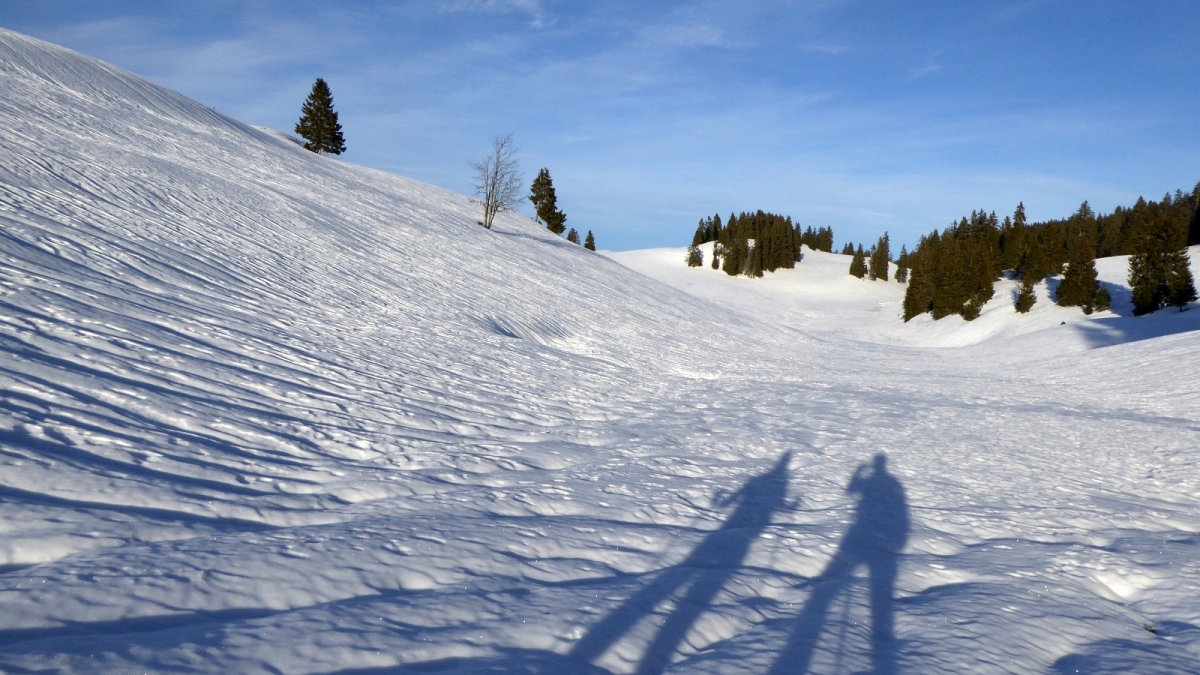 Non loin de la Combe des Amburnex – Le Chenit – Vaud – Suisse