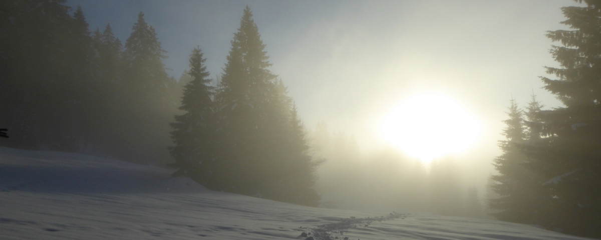 Le Joux de Bière