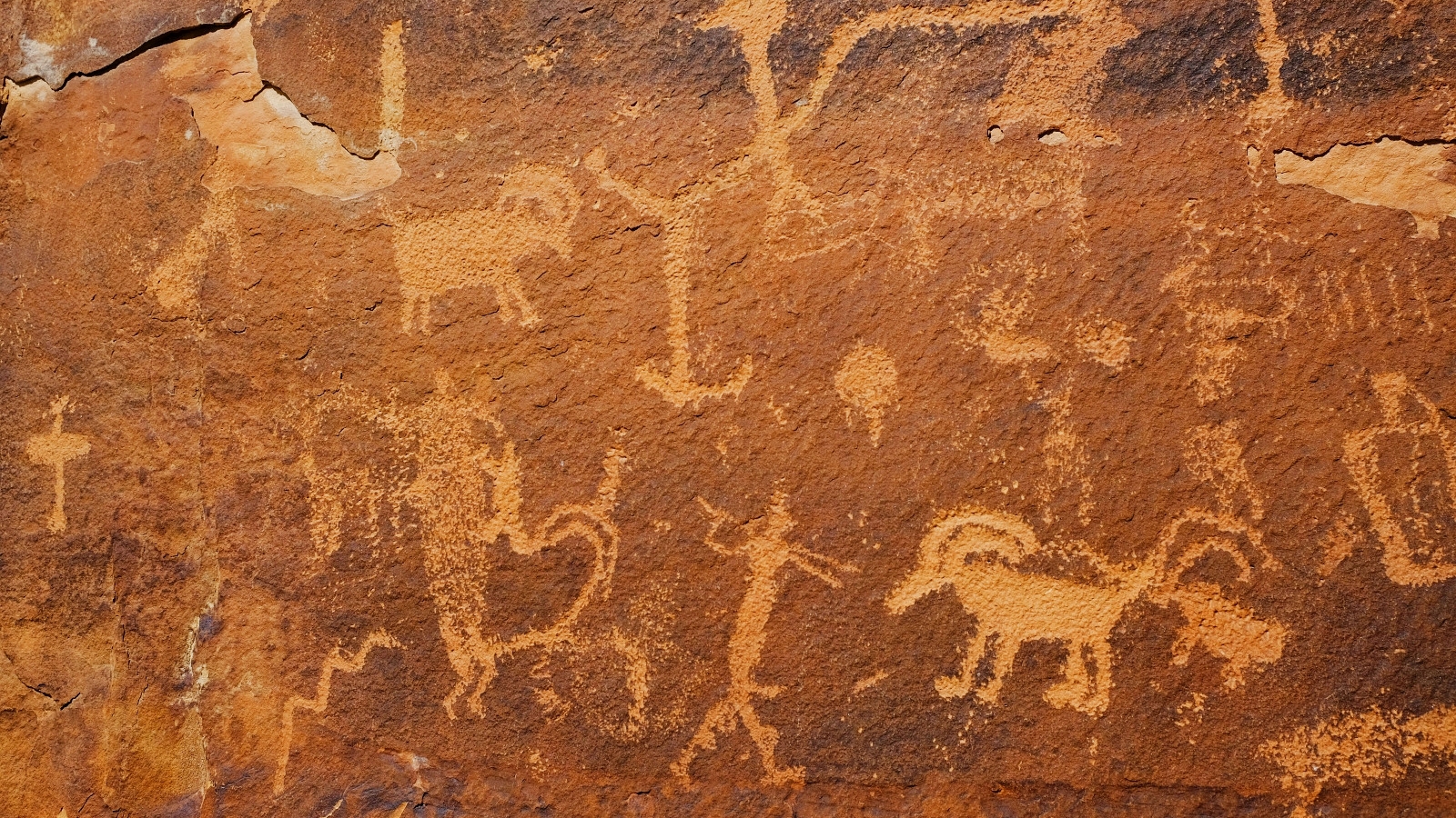 Rochester Panel – Utah