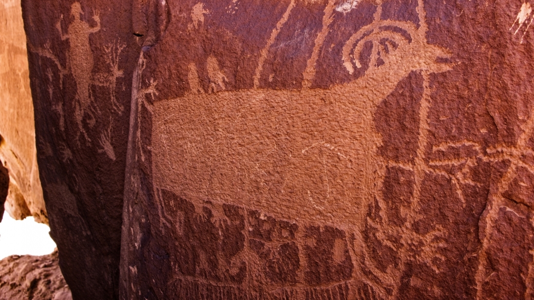 Une chèvre géante à Coal Canyon, près de Green River, dans l'Utah.