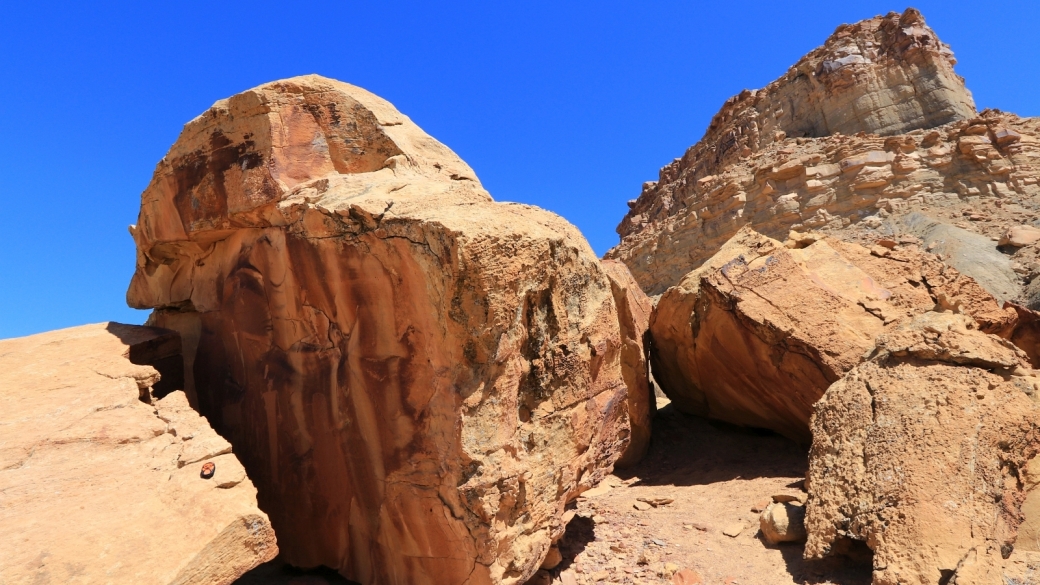 Vue d'ensemble du panneau de pétroglyphes de Coal Canyon, près de Green River, dans l'Utah.