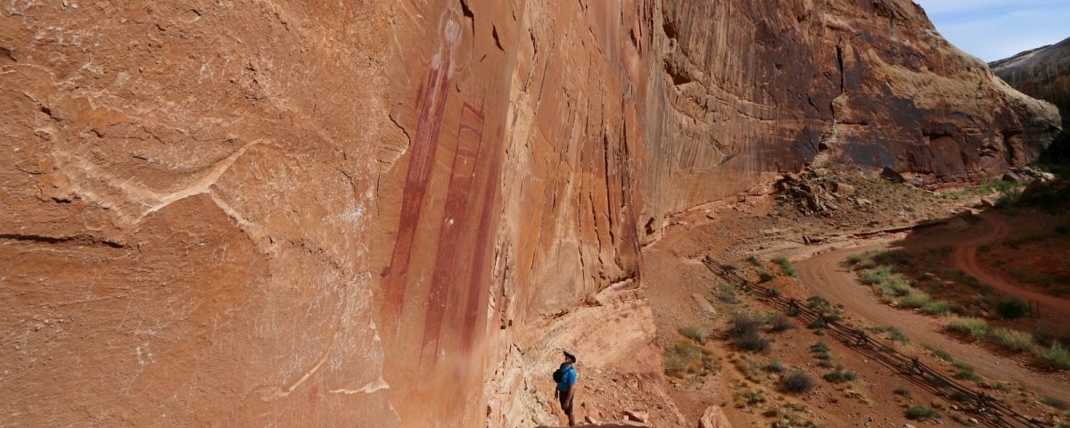 Black Dragon Panel - Black Dragon Wash - Utah