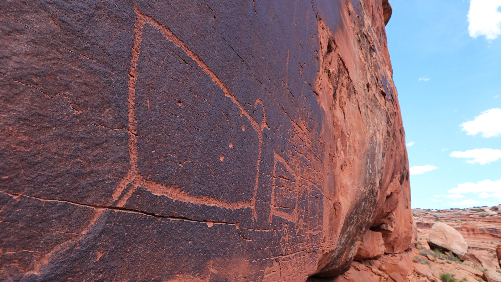 TV Sheep Panel – Canyonlands – Utah