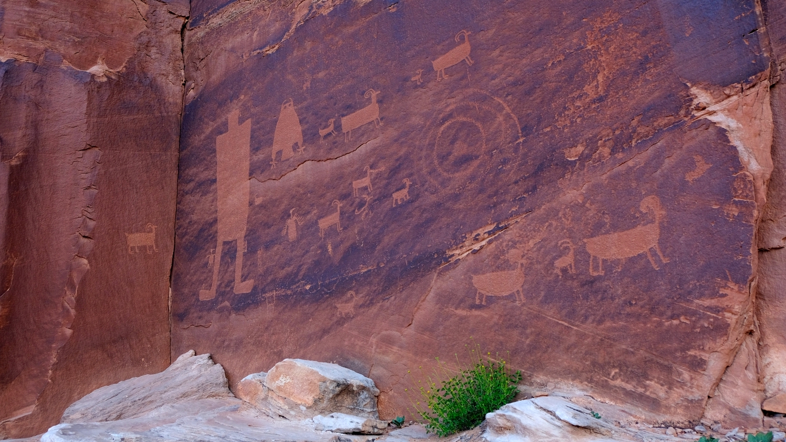The Owl Panel – Amasa Back Trail – Moab – Utah