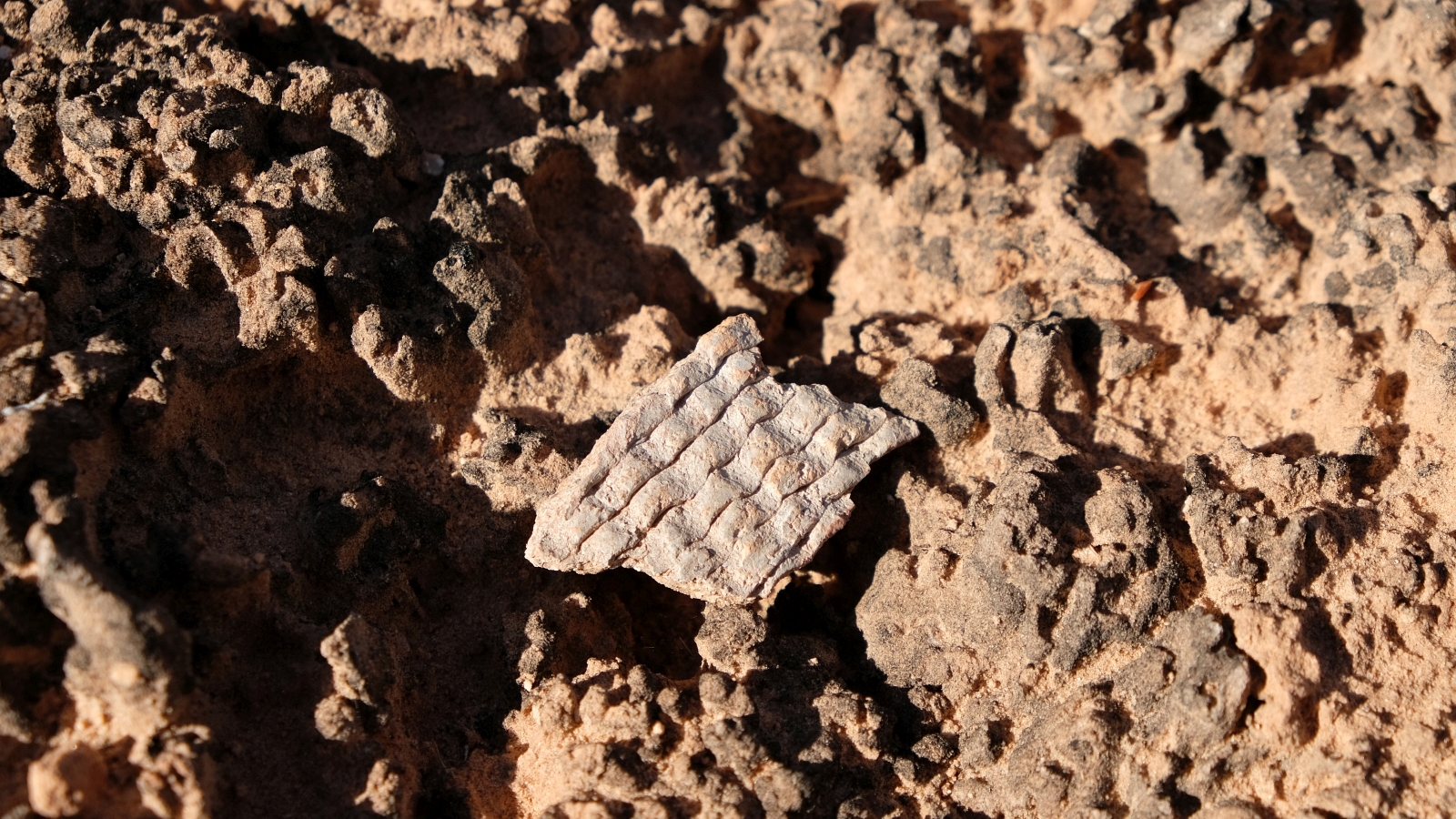 Remnant Ruin – Natural Bridges National Monument – Utah