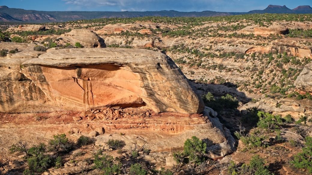 Vue d'ensemble sur Red Bear Panel, à Natural Bridges National Monument, dans l'Utah.