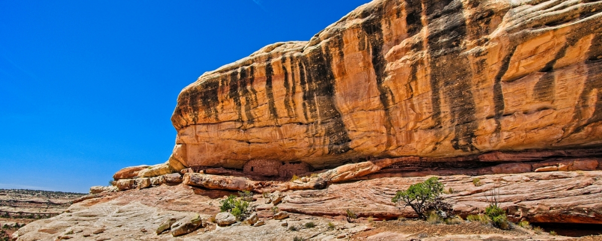 Quelques greniers nichés dans le West Fork of Johns Canyon.