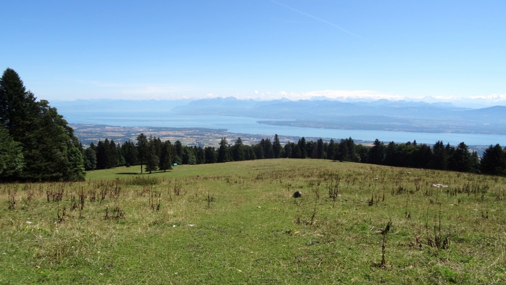 Vue sur le lac et la chaîne des Alpes, depuis le haut de La Gerle.