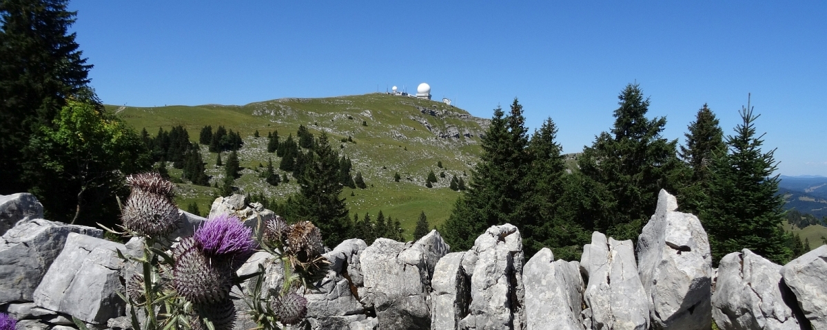 La Dôle - Gingins - Vaud - Suisse