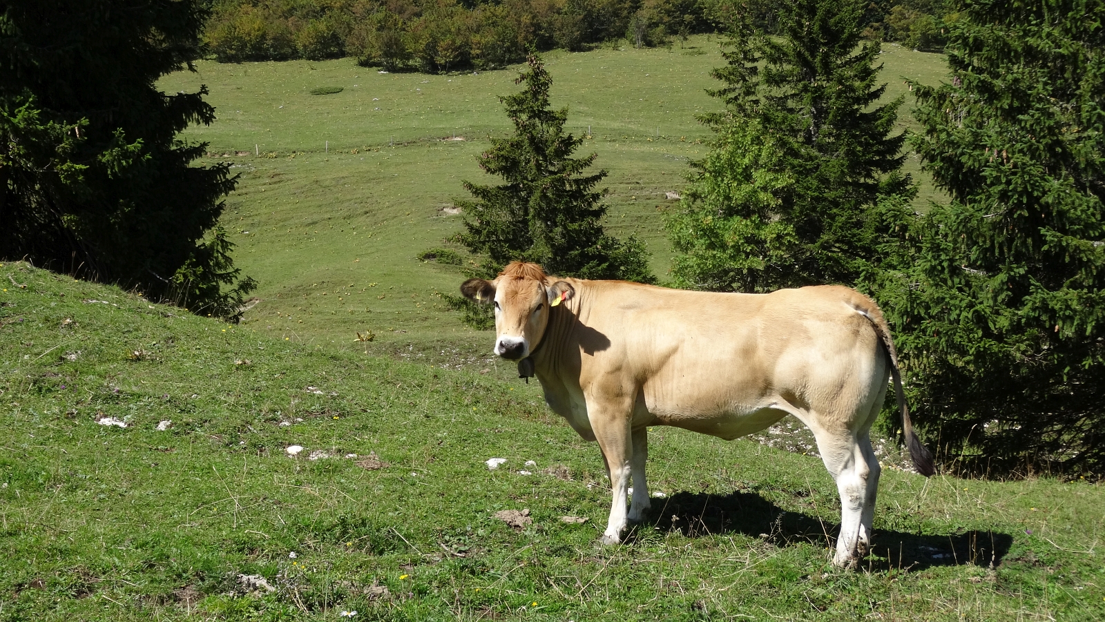 Le Couchant – Arzier-Le Muids – Vaud – Suisse