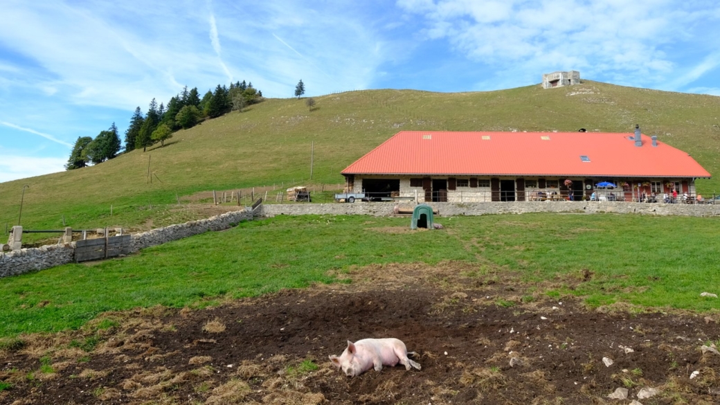 Vue sur le chalet d'alpage de Grange-Neuve, situé sur la commune de Baulmes, Vaud.