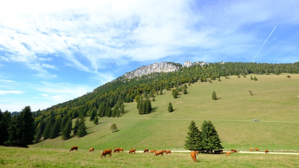 Vue sur les Aiguilles de Baulmes depuis le chalet d'alpage de Grange-Neuve.