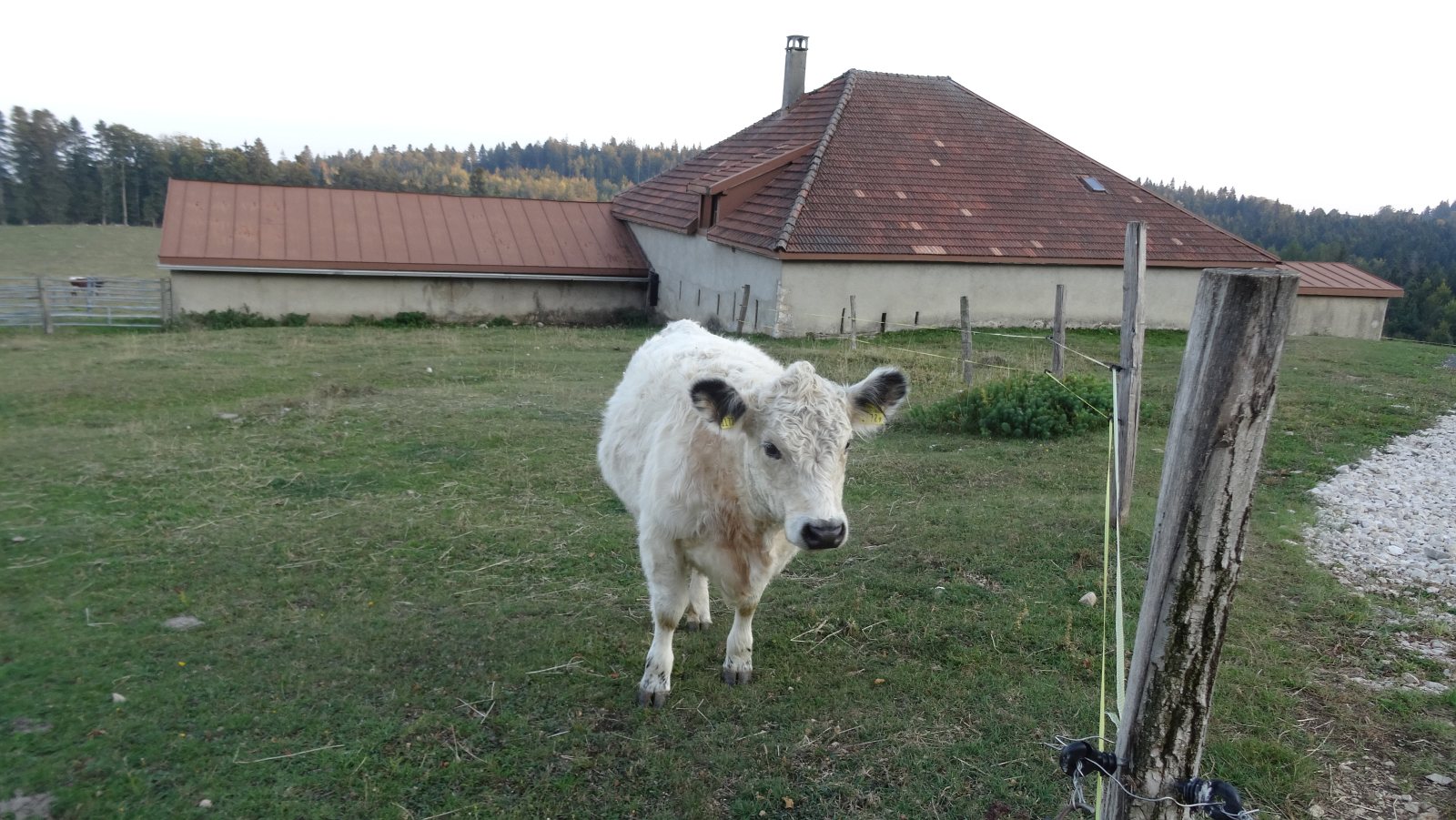 Les Orgères – Arzier-Le Muids – Vaud – Suisse