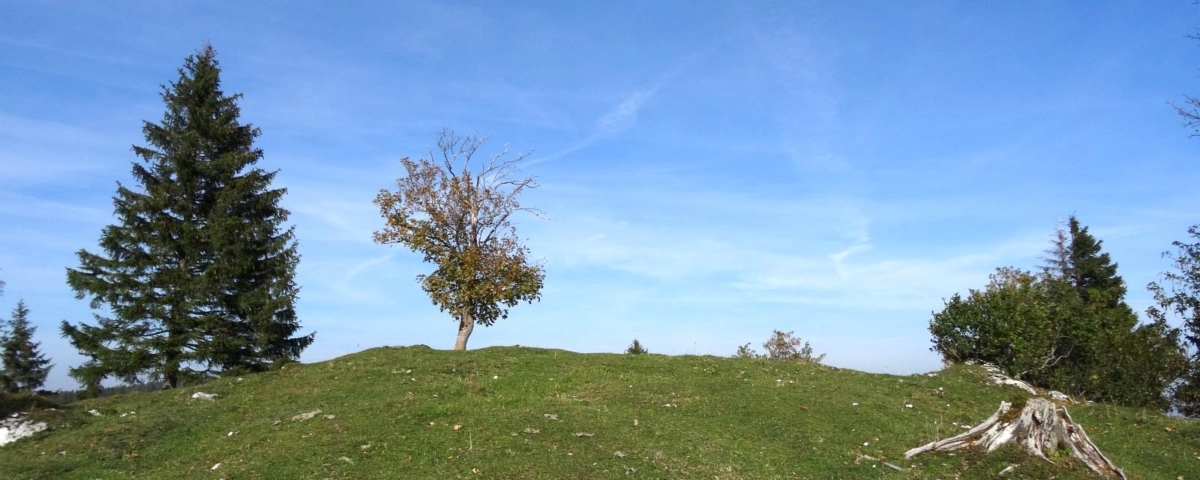 Le Noirmont des Français