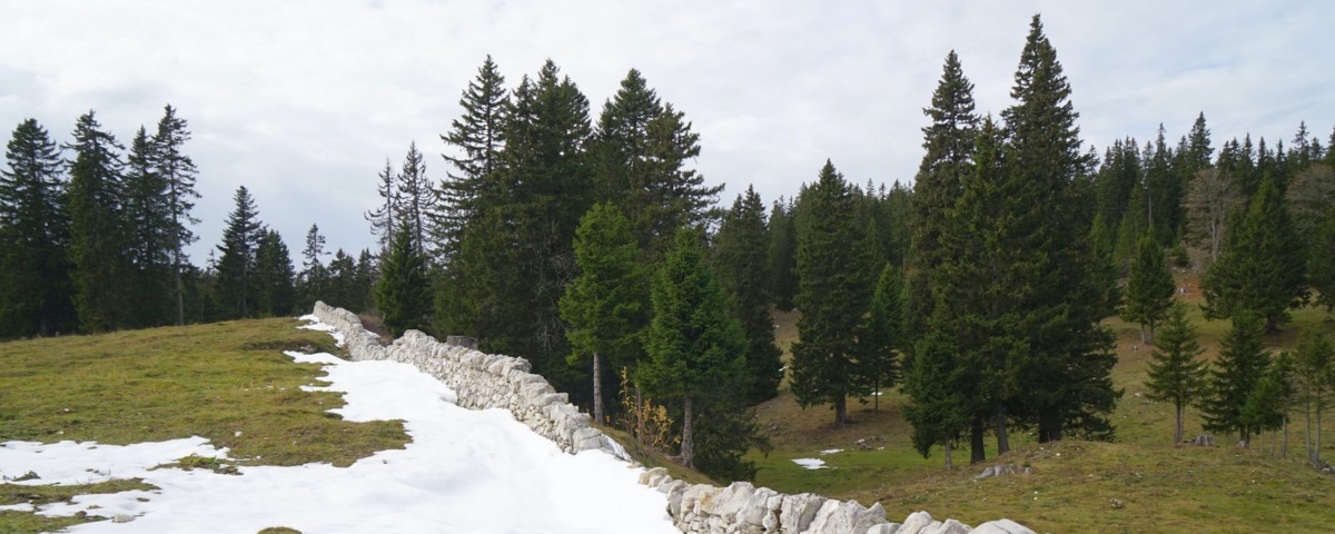 Cabane des Yarpes - Berolle - Vaud - Suisse