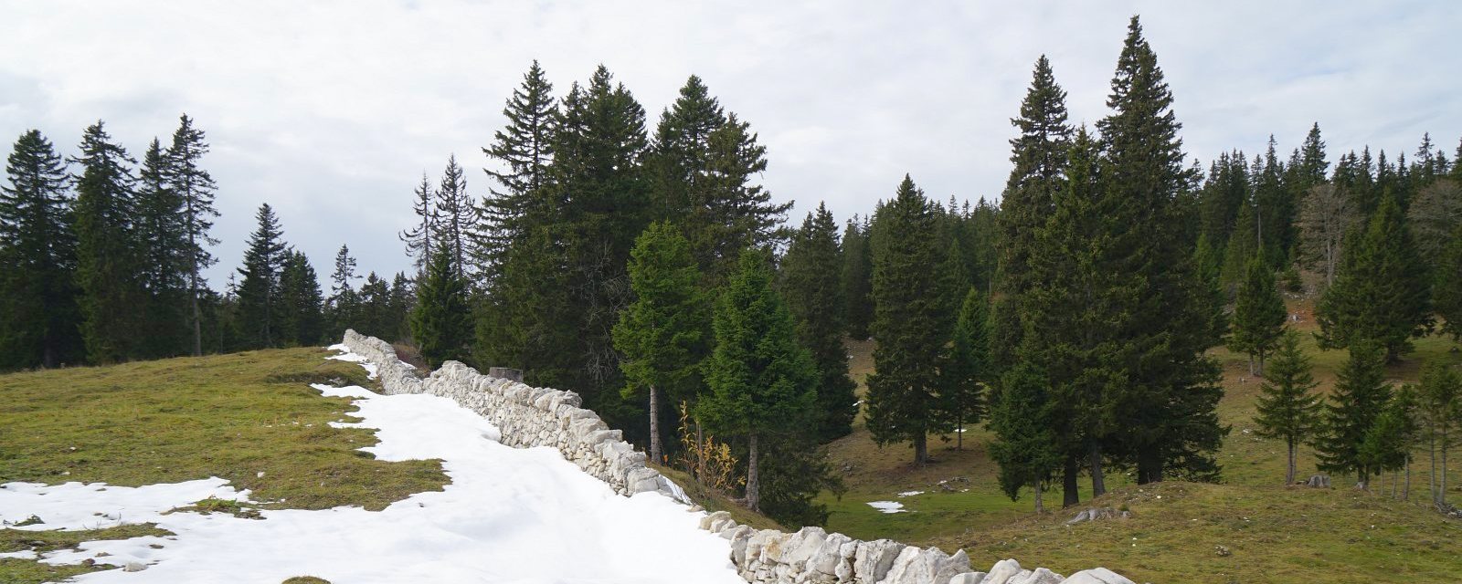 Cabane des Yarpes – Berolle – Vaud – Suisse