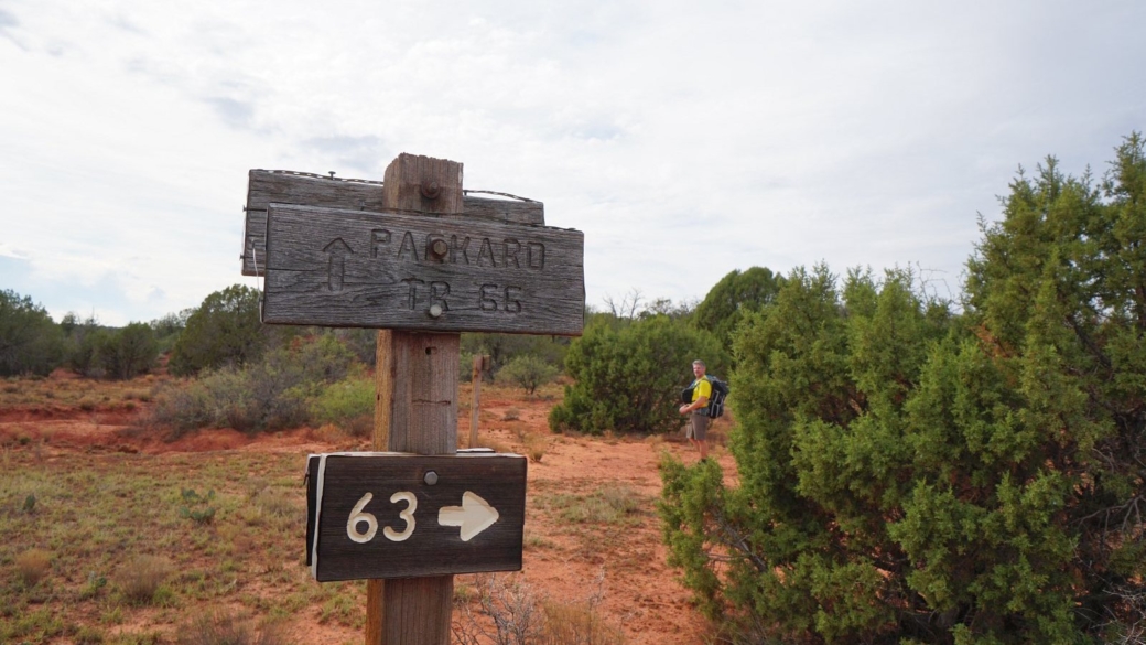 Panneau indiquant le Packard Trail #66, dans la Sycamore Canyon Wilderness, près de Sedona, Arizona.