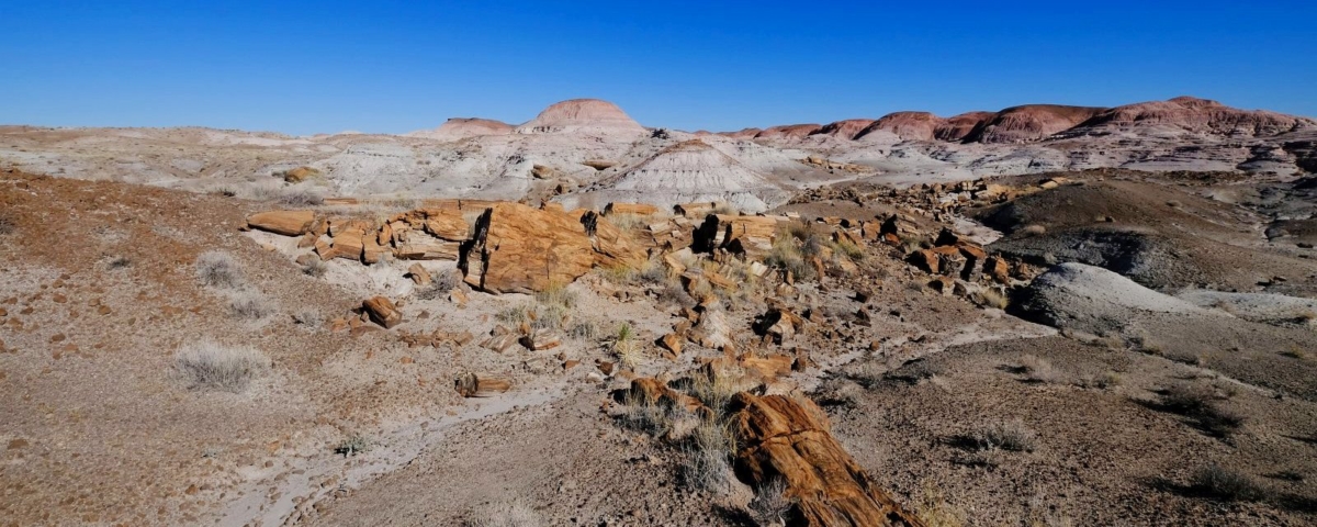 Painted Desert