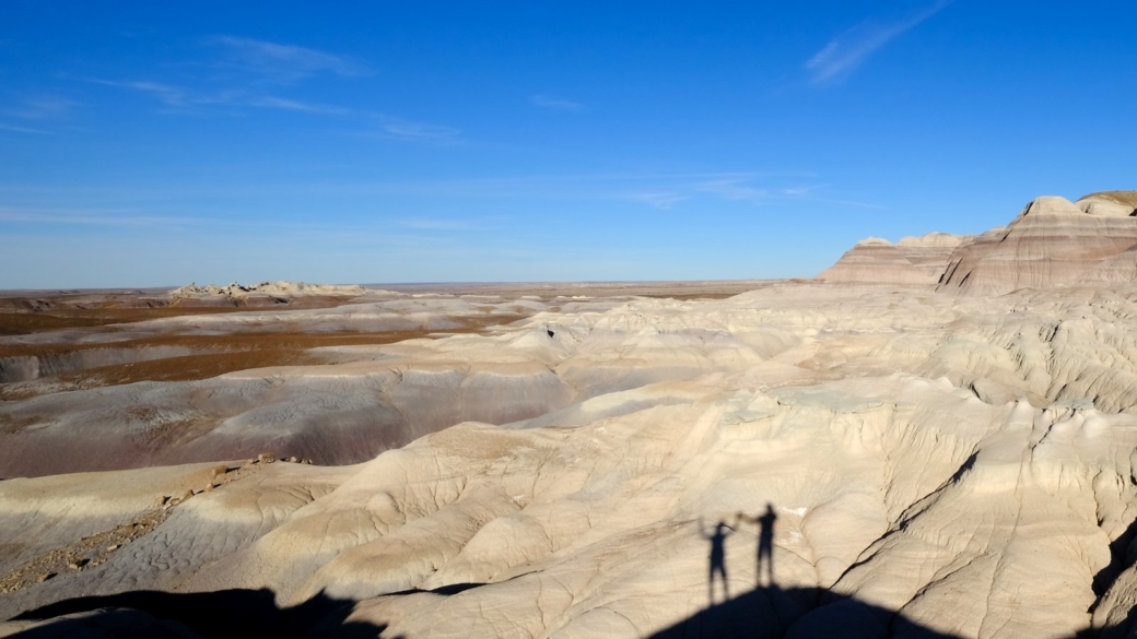 Blue Forest Trail - Petrified Forest National Park - Arizona