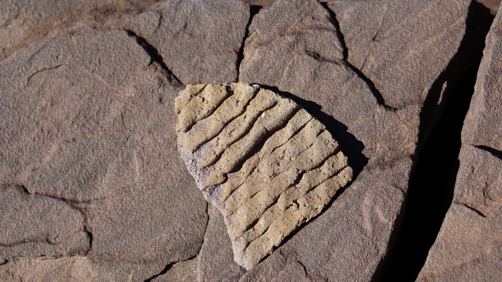 Petrified Forest National Park – Arizona