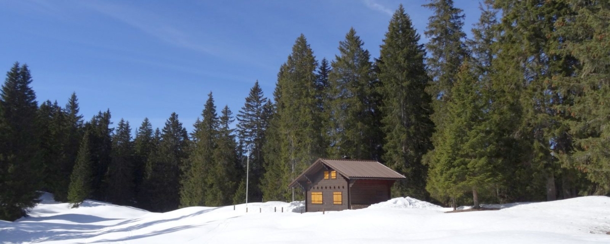 Chalet privé "Le Caprice" - Le Chenit - Vaud - Suisse