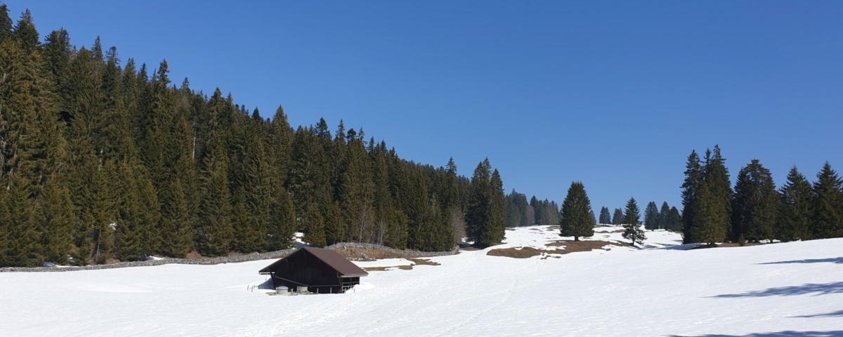 Couvert du Pré de Rolle