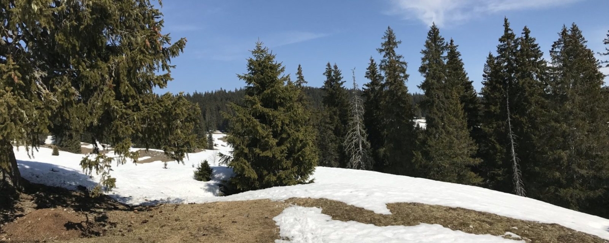 Autour du Bois du Milieu