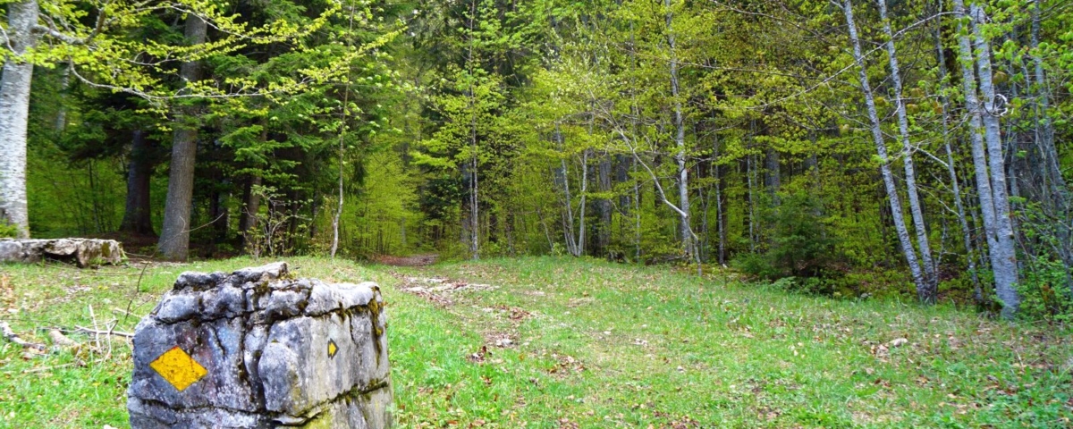 Cabane Rochefort - Arzier-Le Muids - Vaud - Suisse