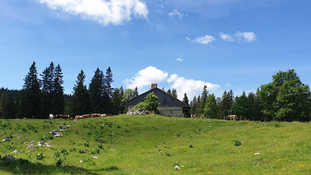 Le Croton - Le Chenit - Vaud - Suisse