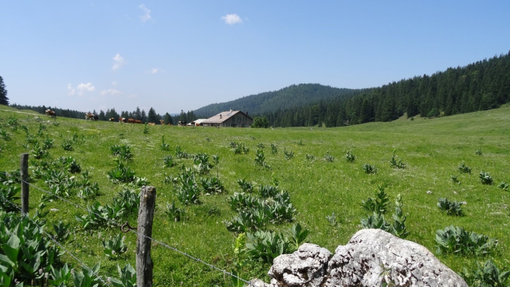 Pré de St-Livres - Bière - Vaud - Suisse