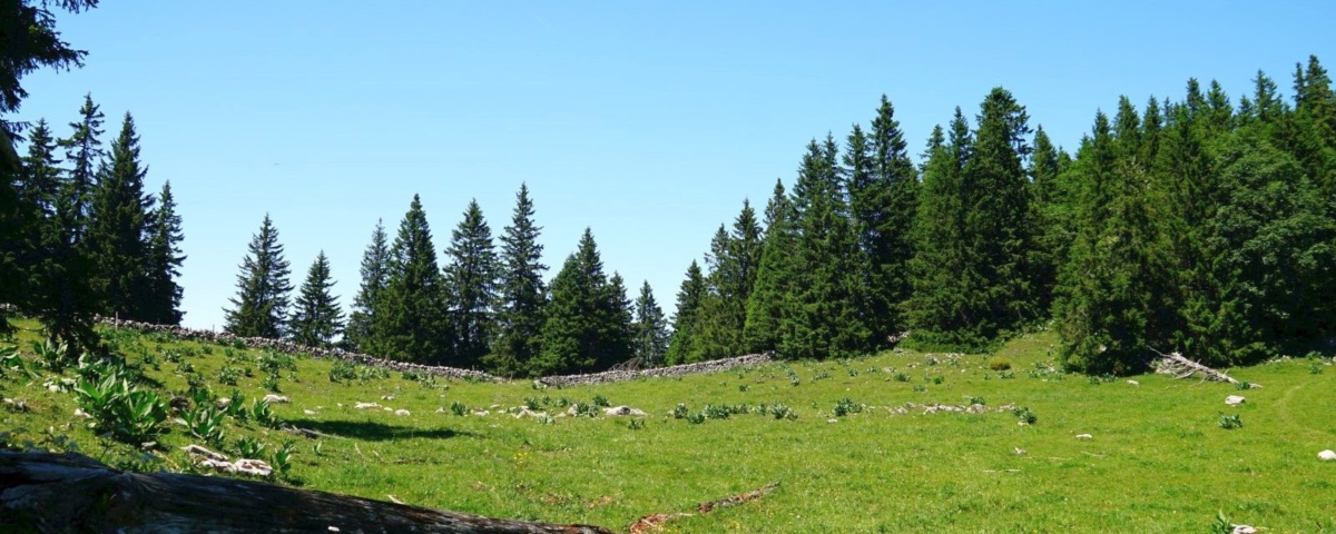 Creux à la Biche