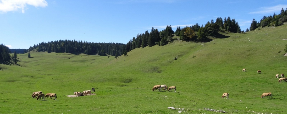 Les superbes paysages du Jura vaudois.