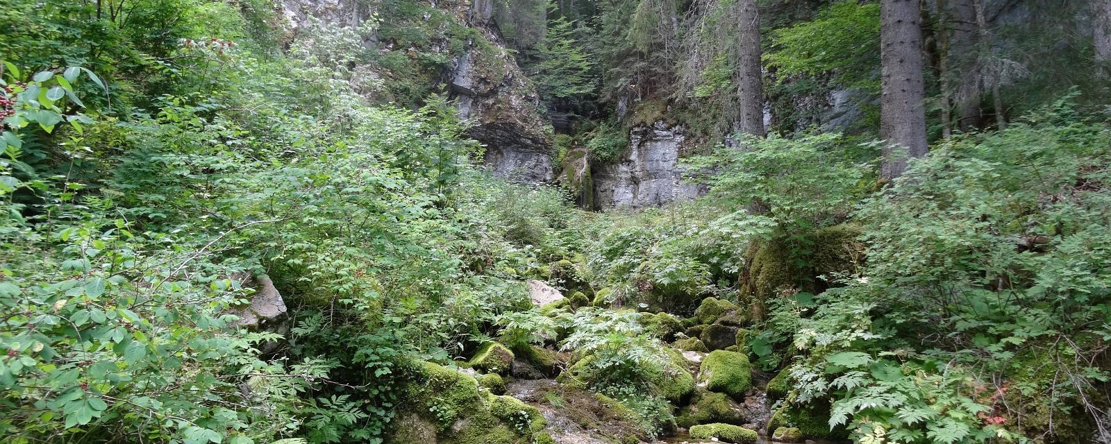 Le Biblanc – Le Chenit – Vaud – Suisse