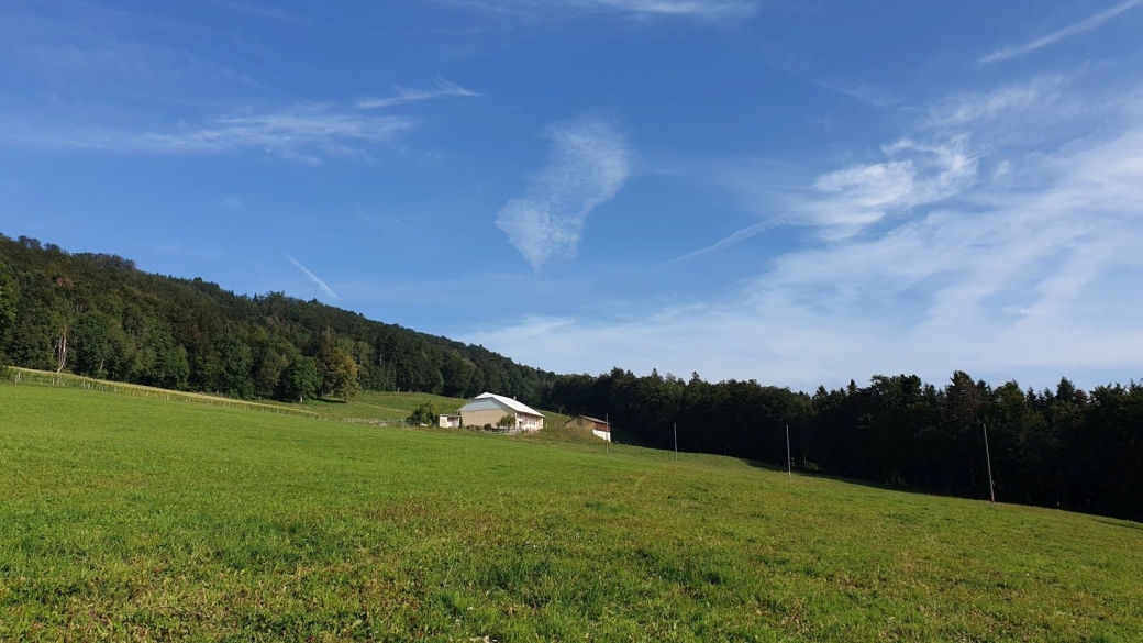 Le Devens - Route de Chardève - Montricher - Vaud - Suisse