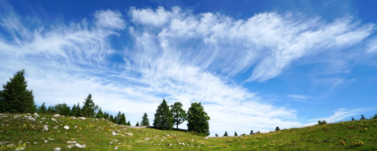 Le Sapelet Dessus, entre le Mont Tendre et le lac de Joux.