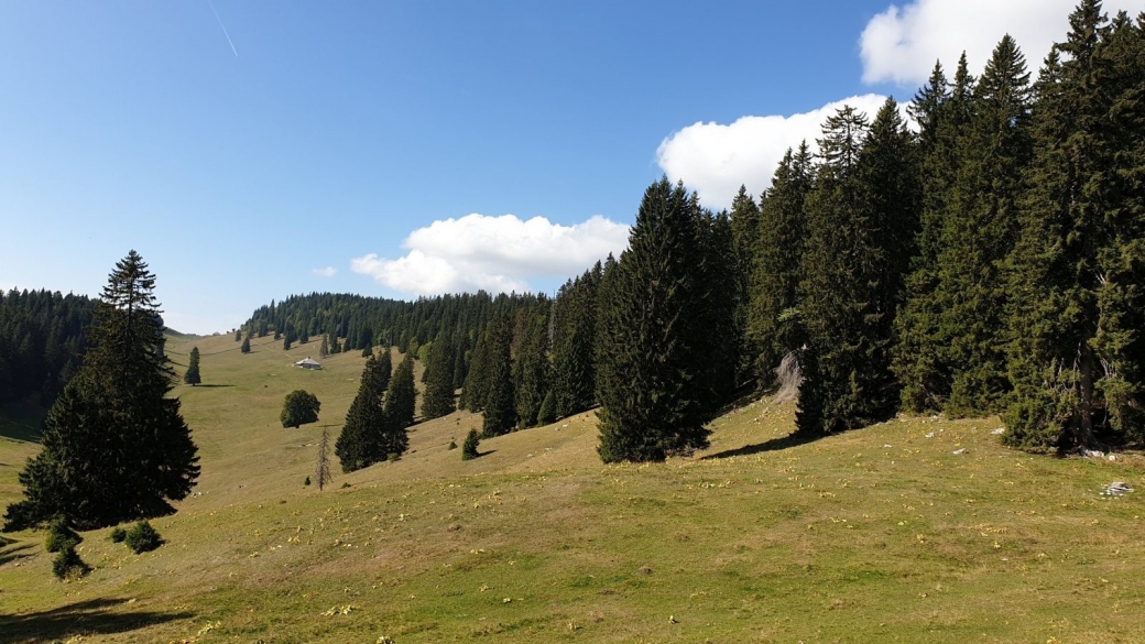 Petite Chaux - Arzier-Le Muids - Vaud - Suisse