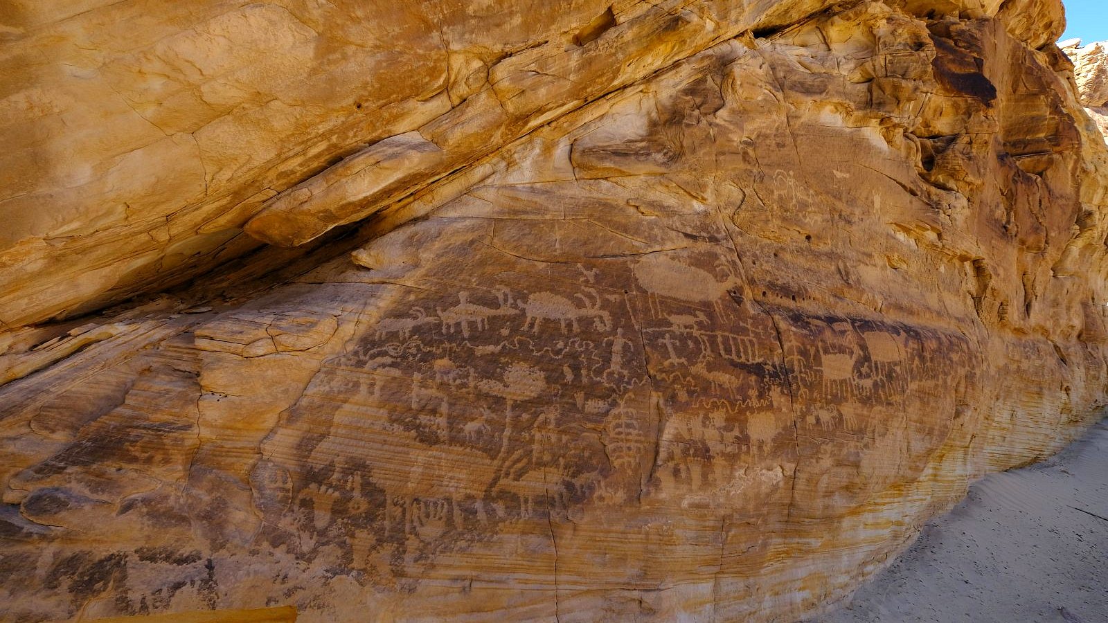 Kohta Circus Petroglyphs – Gold Butte National Monument – Nevada