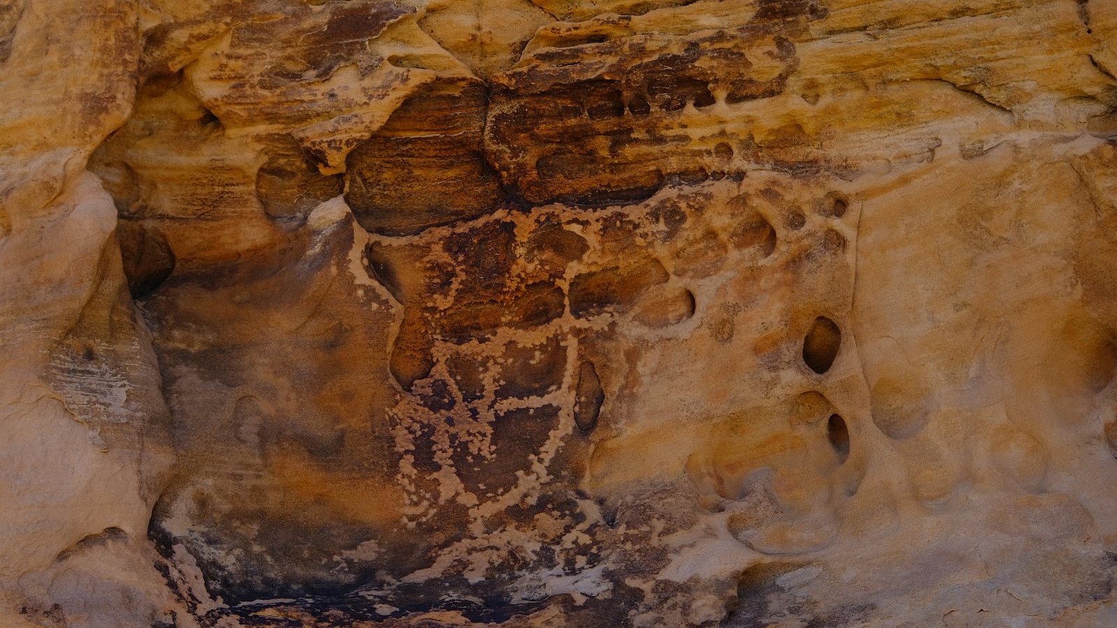 Kohta Circus Petroglyphs – Gold Butte National Monument – Nevada